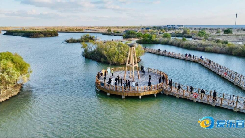 书写生活 书写生活